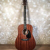 Martin D-10E Sapele