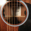 Martin D-10E Sapele