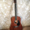 Martin D-10E Sapele