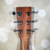 Martin D-10E Sapele