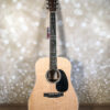 Martin D-13E