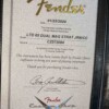 Fender Custom Shop Limited 1965 Dual-Mag Strat Aged Inca Silver