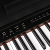 Medeli DP560BK Digital Piano