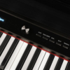 Medeli DP560BK Digital Piano