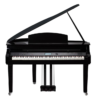 Medeli Forte Series Grand 510 Mini Grand Black