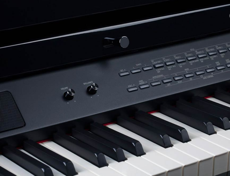 Medeli Forte Series Grand 510 Mini Grand Black