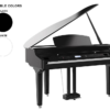 Medeli Forte Series Grand 510 Mini Grand Black