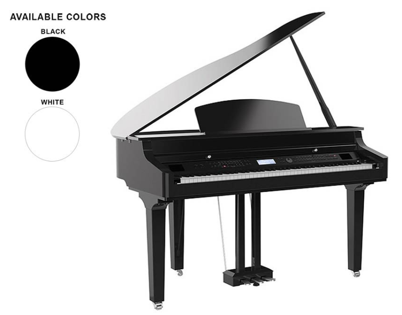 Medeli Forte Series Grand 510 Mini Grand Black