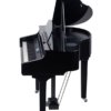 Medeli Forte Series Grand 510 Mini Grand Black