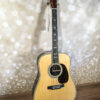 Martin D-45