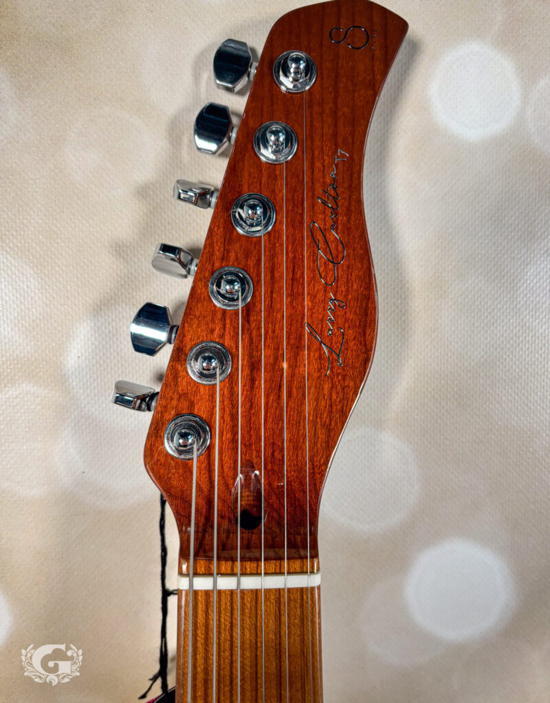 Sire Larry Carlton T7 Flamed Maple - Natural