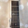 Martin 000JR-10E Shawn Mendes Signature