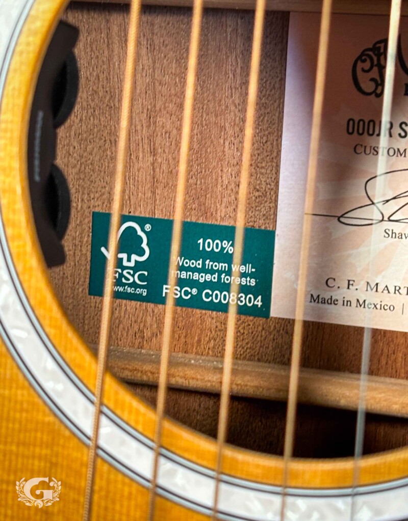 Martin 000JR-10E Shawn Mendes Signature