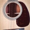 Martin Custom Shop D-45 Style 'Golden Era'