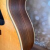 Eastman PCH-2 GACE Natural