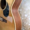 Eastman PCH2-OM Natural