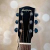 Eastman PCH2-OM Natural