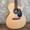 Martin GPCX2E - Cocobolo