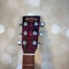 Martin GPCX2E - Cocobolo