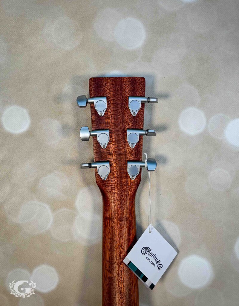 Martin GPCX2E - Cocobolo