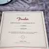 Fender 70th Anniversary American Professional II Stratocaster RW Anniversary 2-Color Sunburst